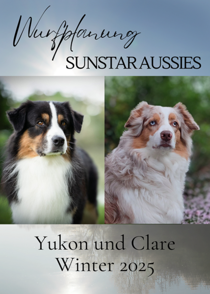 Wurfplanung Clare und Yukon